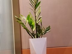 -85度C(上海周浦店)