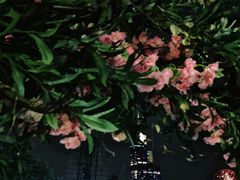 -胡桃里音乐酒馆(环亚凯瑟琳广场店)