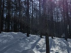 -洛阳白云山景区