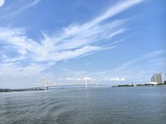 -日日香卤鹅饭店·澄海狮头鹅(澄海店)