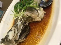 -欢乐海岸美食联盟