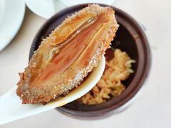 鱼头佛跳墙-食神鱼头佛跳墙(百子湾旗舰店)