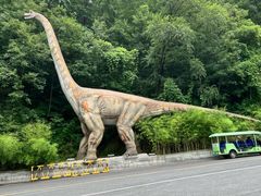 -栾川竹海野生动物园