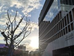 -朵云书院(滴水湖店)