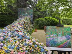 -上海共青森林公园