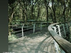 -西湖风景区-江洋畈生态公园