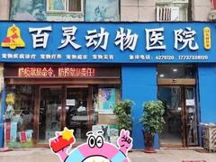 -百灵动物医院