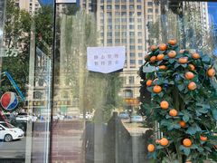 -平山城鑫烧烤(建国楼店)