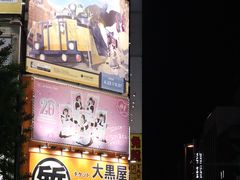 -秋叶原电器街