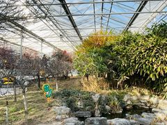 -北京鹫峰国家森林公园