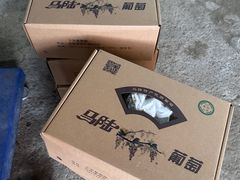 -马陆小张葡萄园农家乐