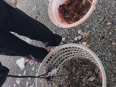 -霞涌市场海鲜摆卖区