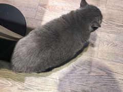 -小时光咖啡馆(开森度假森林店)