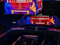 -梦之蓝青奥体育公园体育馆