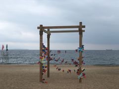 -玫瑰海岸文化旅游度假区
