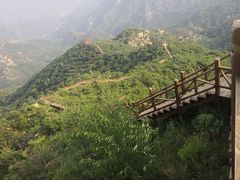 -大岭沟猕猴桃谷风景区