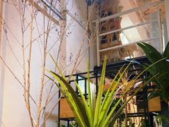 -蓝山四季西餐植物店