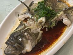 -桂哥海鲜城