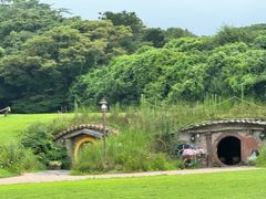 -济州森林小火车生态公园