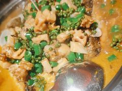 -探鱼·鲜青椒爽麻烤鱼(领展购物广场店)