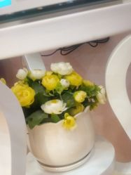 -晶奕空间专业脱毛连锁机构