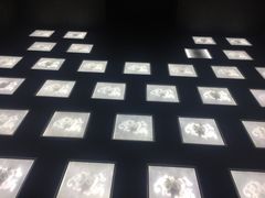 -MOJO密室逃脱(中街旗舰店)