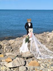 -秦皇岛我和你婚纱摄影工作室