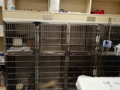 -爱诺耐芙动物医院(万博店)