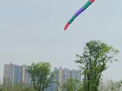 -府河摄影公园