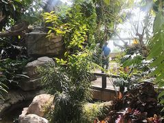 -北京植物园-展览温室