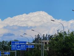 -卖呆儿咖啡(望京店)