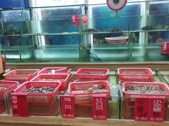 -南庄酒家·海鲜粤菜·25年老字号(环城南路店)