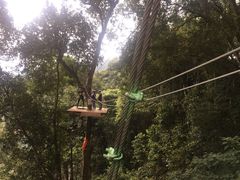 -清迈丛林飞跃 JungleFlight