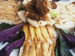 -墨脱石锅椰子鸡•香草鸭•东山羊(大东海店)