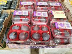 -油麻地果栏