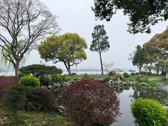 -杭州西湖柳莺里酒店