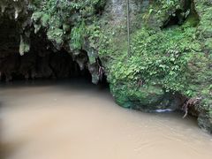 -怀托摩萤火虫洞