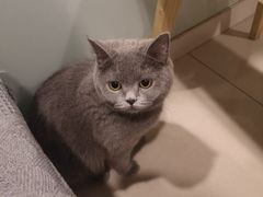 -平行世界·猫咖(首经贸店)