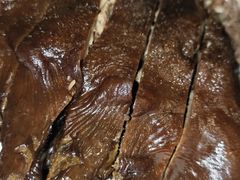 -二八鸥汀老鹅(金涛庄店)