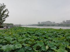 -西安曲江寒窑遗址公园