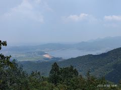 -广州市流溪河国家森林公园