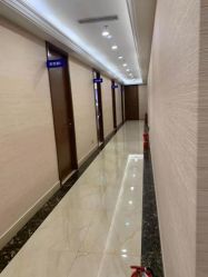 -碧莲盛·不剃发植发