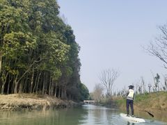 -动邦皮划艇·桨板·独木舟·团建户外运动俱乐部