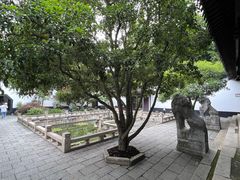 -上海醉白池公园