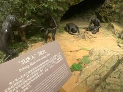 -北京周口店北京人遗址博物馆