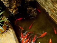 -鸥迪足道(老虎滩店)