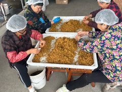 -苏州市吴中区光福窑上花果蜜饯厂