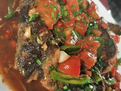 -生态苑农庄(十里画廊遇龙河店)