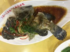 -四姑娘川味海鲜(八爪鱼店)