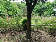 -东湖落雁景区